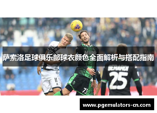 萨索洛足球俱乐部球衣颜色全面解析与搭配指南