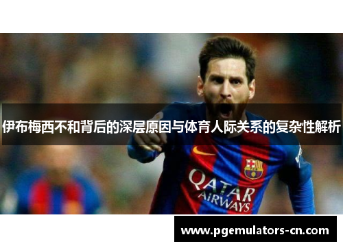 伊布梅西不和背后的深层原因与体育人际关系的复杂性解析