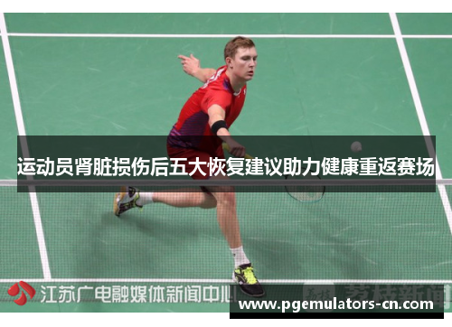 运动员肾脏损伤后五大恢复建议助力健康重返赛场 运动员肾脏损伤后五大恢复建议助力健康重返赛场