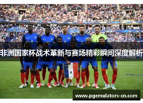 非洲国家杯战术革新与赛场精彩瞬间深度解析
