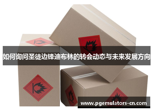 如何询问圣徒边锋迪布林的转会动态与未来发展方向