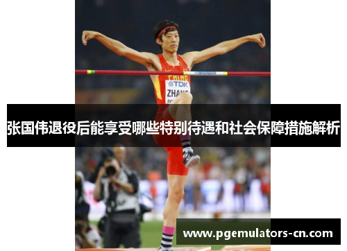 张国伟退役后能享受哪些特别待遇和社会保障措施解析