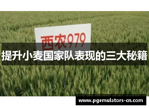 提升小麦国家队表现的三大秘籍